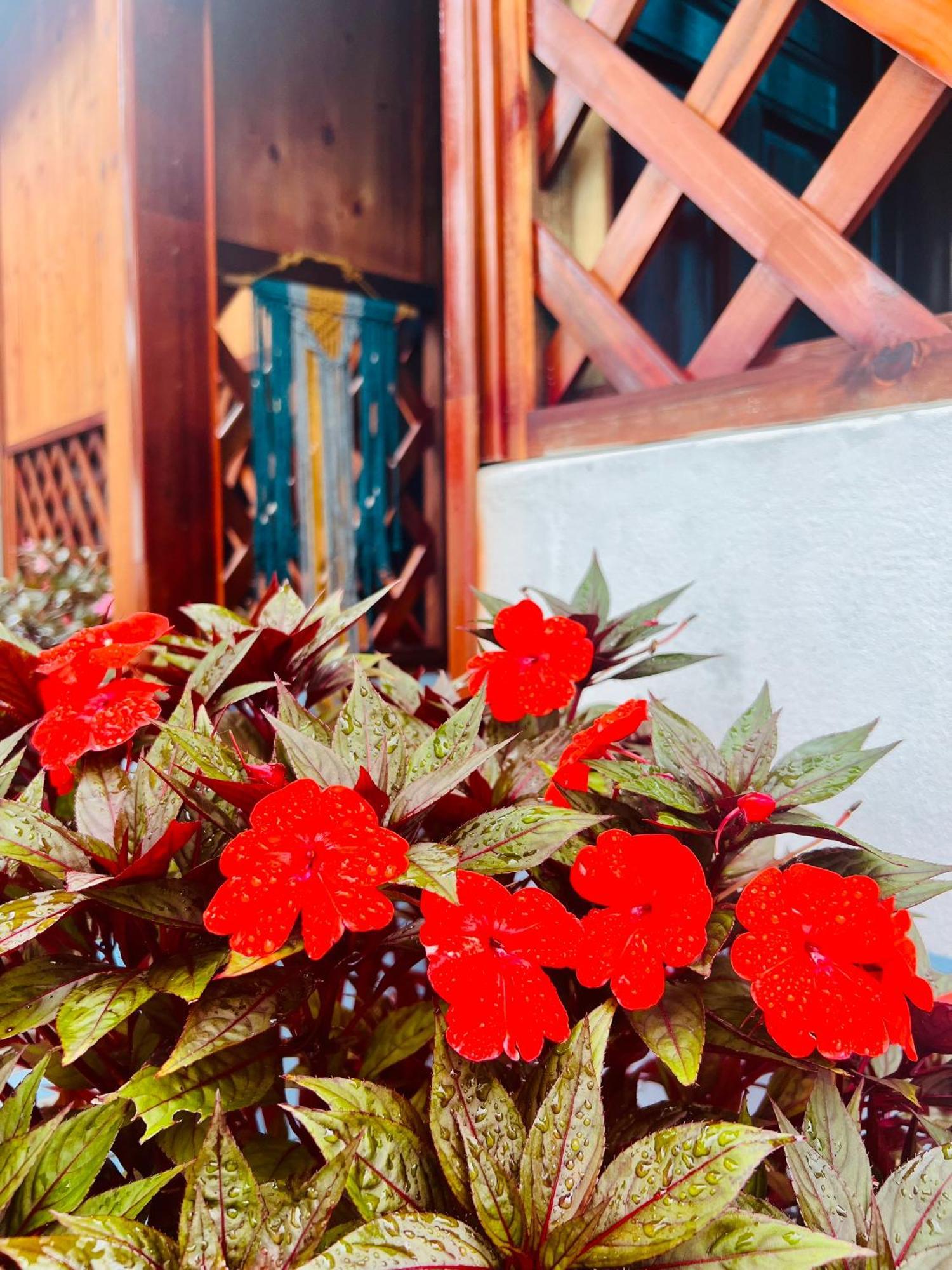 Vietnam Phuot Real Home Kon Tum Kamer foto